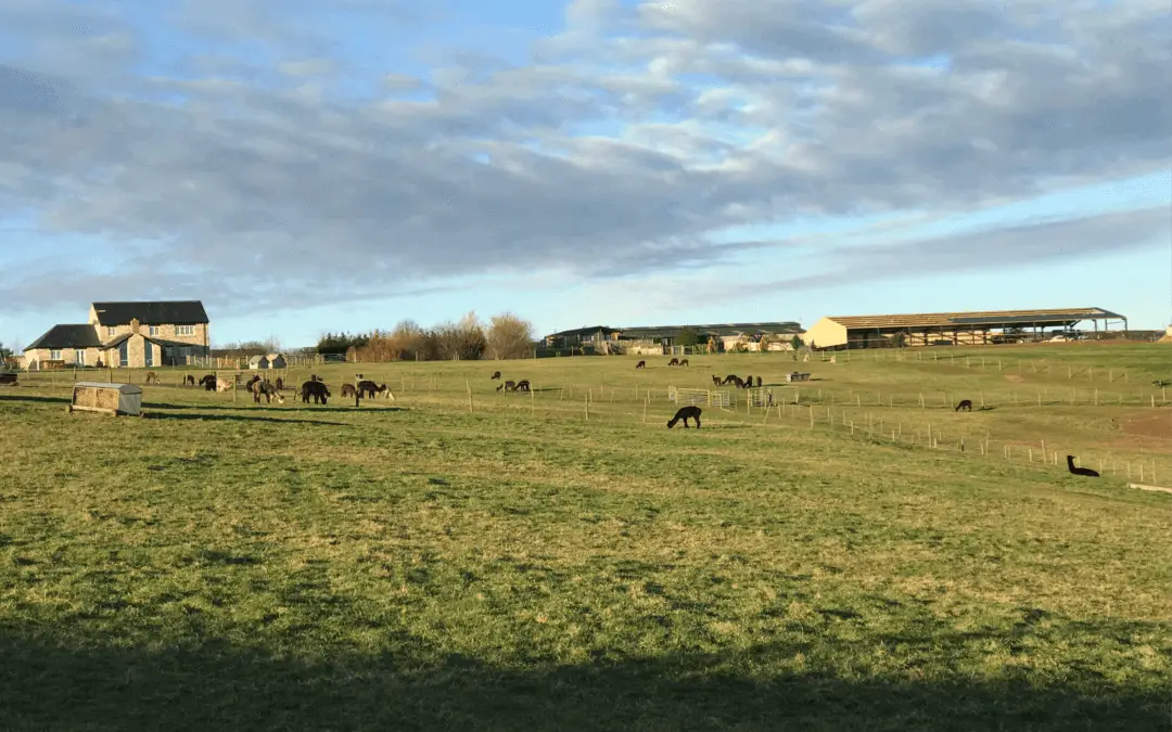 Temporary rural workers dwelling, South Staffordshire.