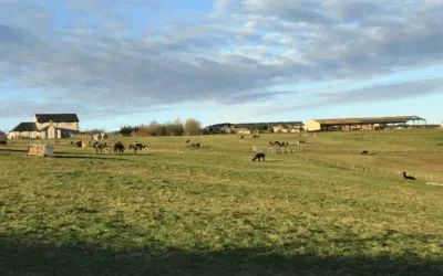 Temporary rural workers dwelling, South Staffordshire.